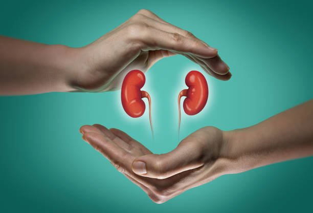 These Habits Could Be Dangerous to Your Kidneys
